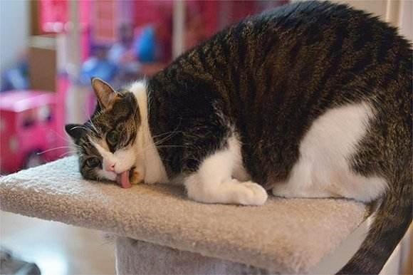 版俗人岛论坛首页到底怎么用？新手踩坑指南来了！