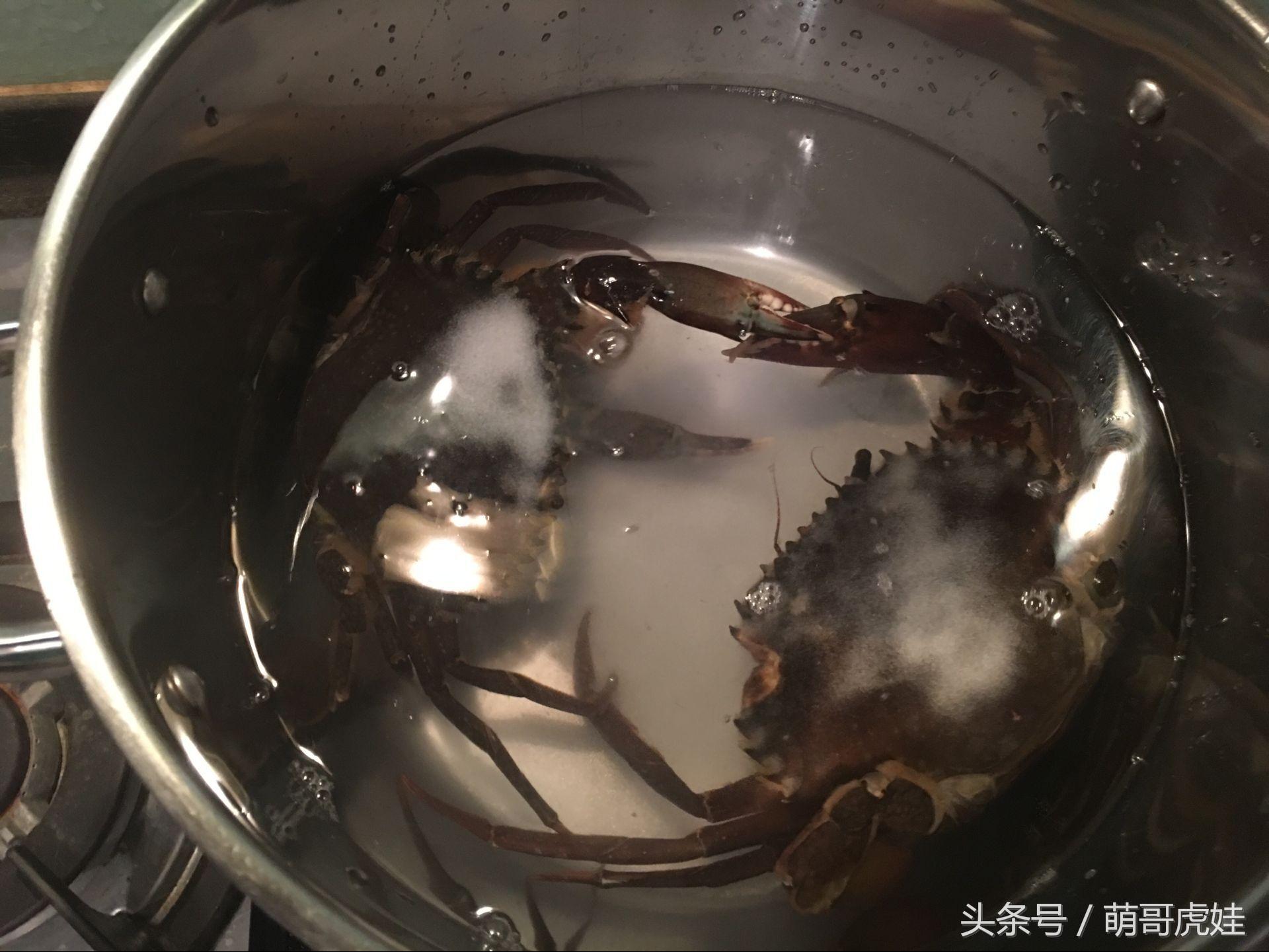 给主子喂螃蟹会不会出大事啊？