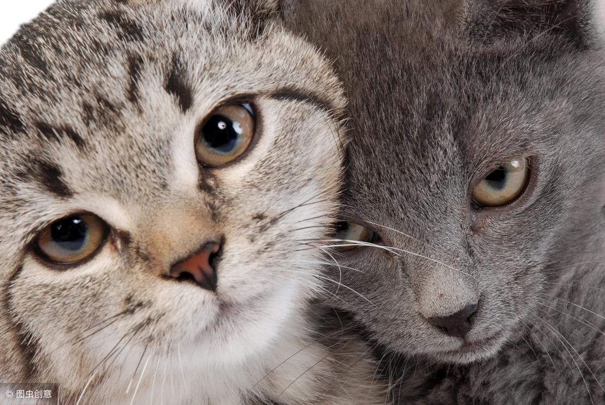 为什么你的阿利总在团战秒躺？