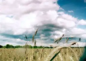 中国古代哲学元气_道家文化的精髓_道家元气学说