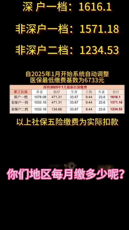 深圳社保交560元是几档2025？最新缴费标准，一看就懂