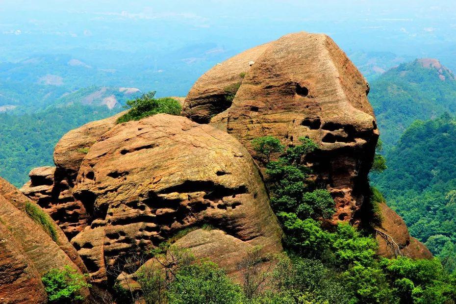 生肖鼠的人为啥总能绝处逢生？