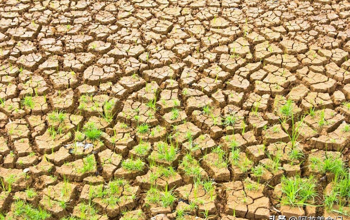 2024年9月哪天最适合结婚搬家? 2024年9月哪天最适合结婚搬家?