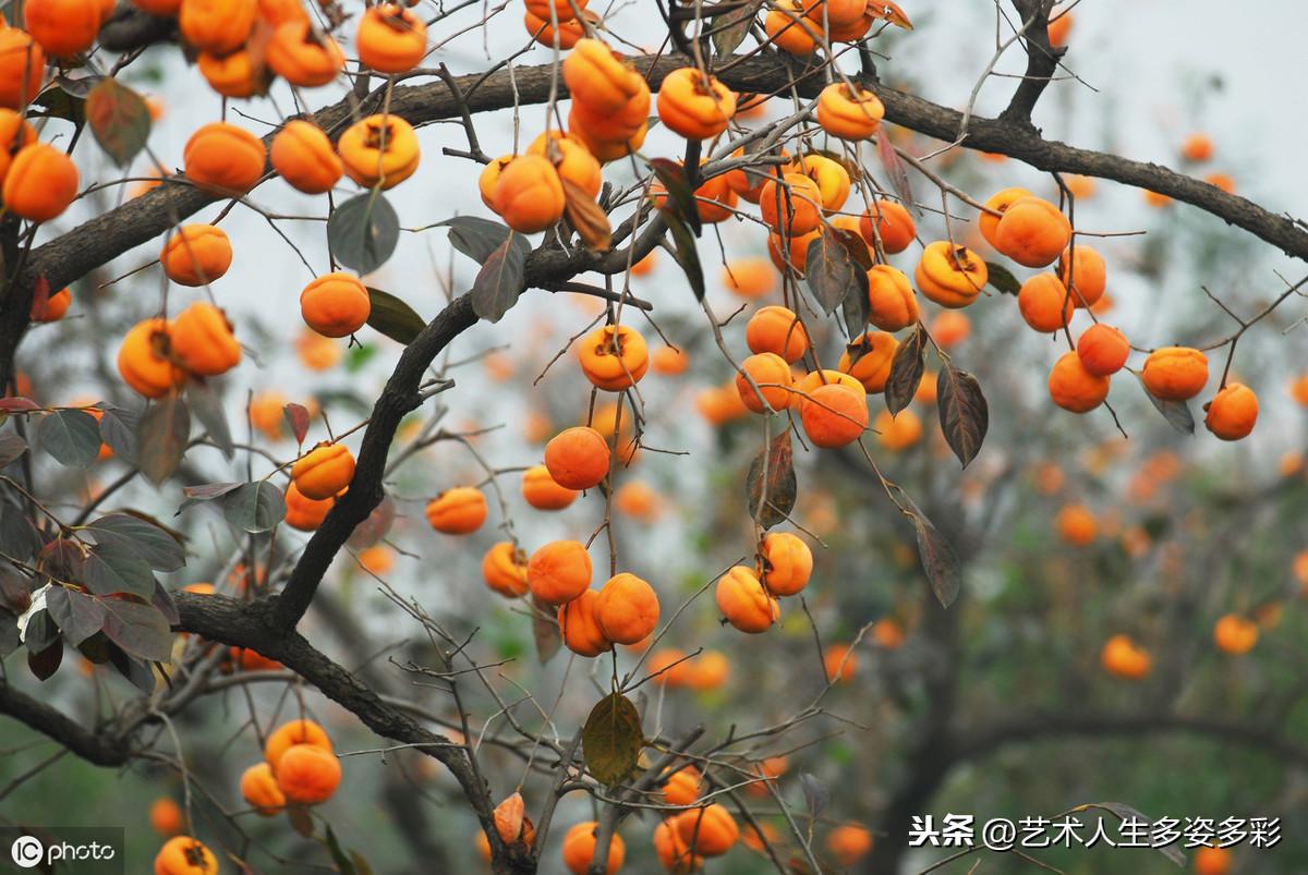 为什么别人家宝宝一听儿歌就手舞足蹈？