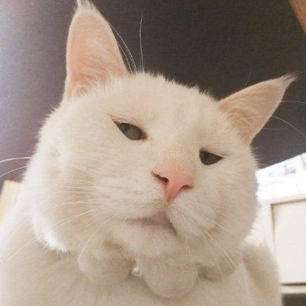 切诺基2500真的是新手玩越野的入门神车吗？