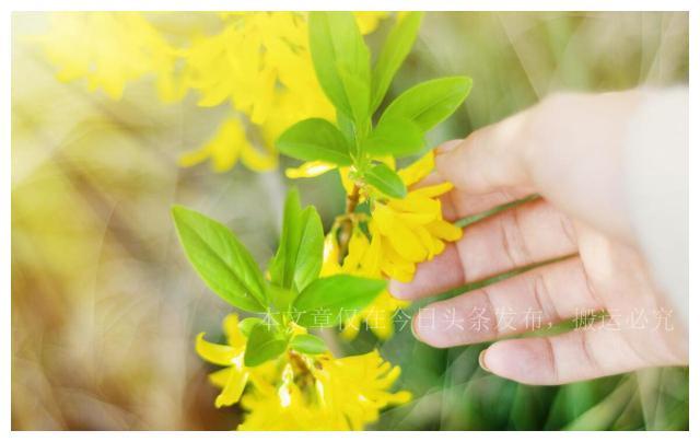 电脑算命真的能预测未来吗？