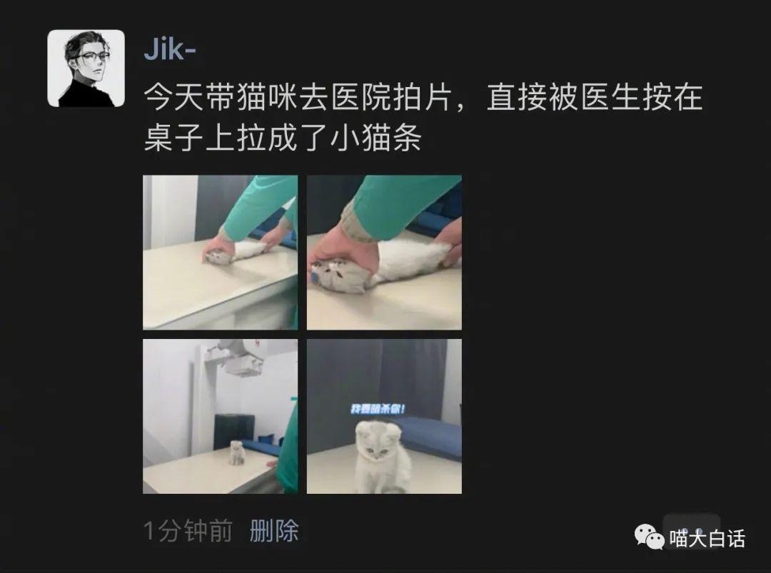 如何用十只小猫咪照片编出刷屏朋友圈的故事？