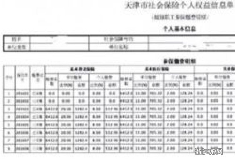 个人社会养老保险怎么查询？手机上能查缴费记录吗？2025教程