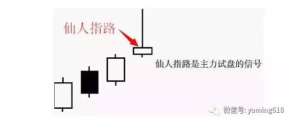 仙人指路k线实战案例分析，手把手教你应用到实际操作