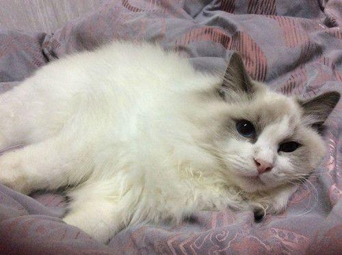 2017年3月13日发布的游戏改变了开放世界？