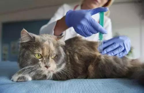 江淮和悦A30现在多少钱能拿下？