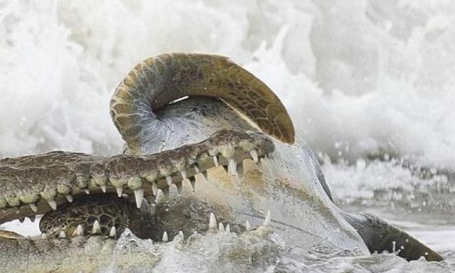 搬新家非得看黄历?不看真的会倒霉吗? 搬新家非得看黄历?不看真的会倒霉吗?