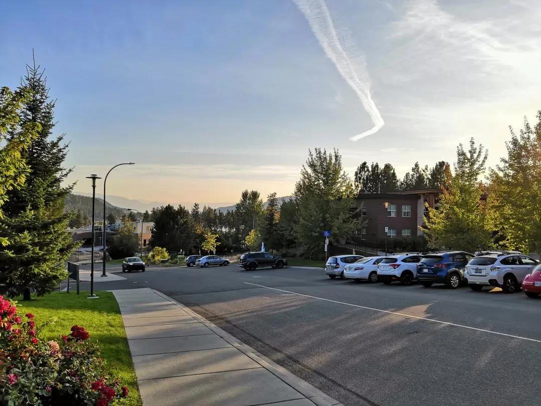 北美华人论坛能给农村人带来啥实际好处？