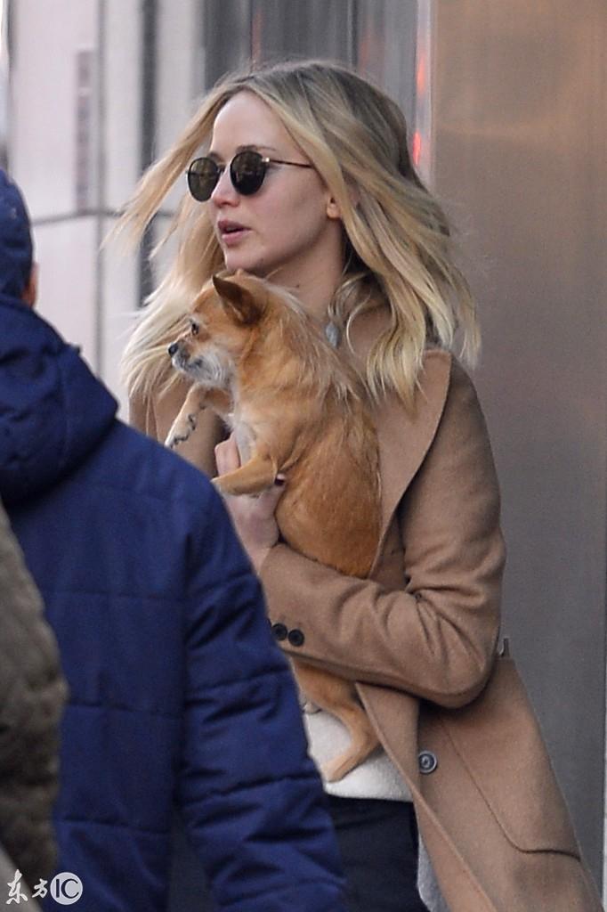 2010年11月13日到底藏着什么游戏圈大事件? 2010年11月13日到底藏着什么游戏圈大事件?