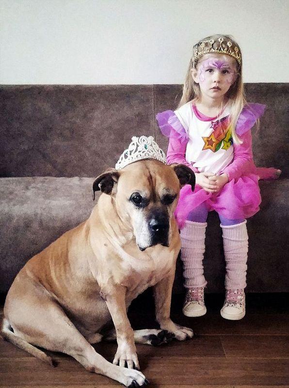 一汽丰田皇冠2.5真的能让新手闭眼入吗？