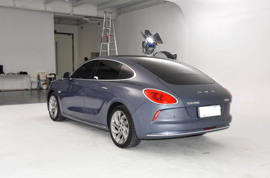 猫咪突然瘦成闪电？这5个原因必须排查