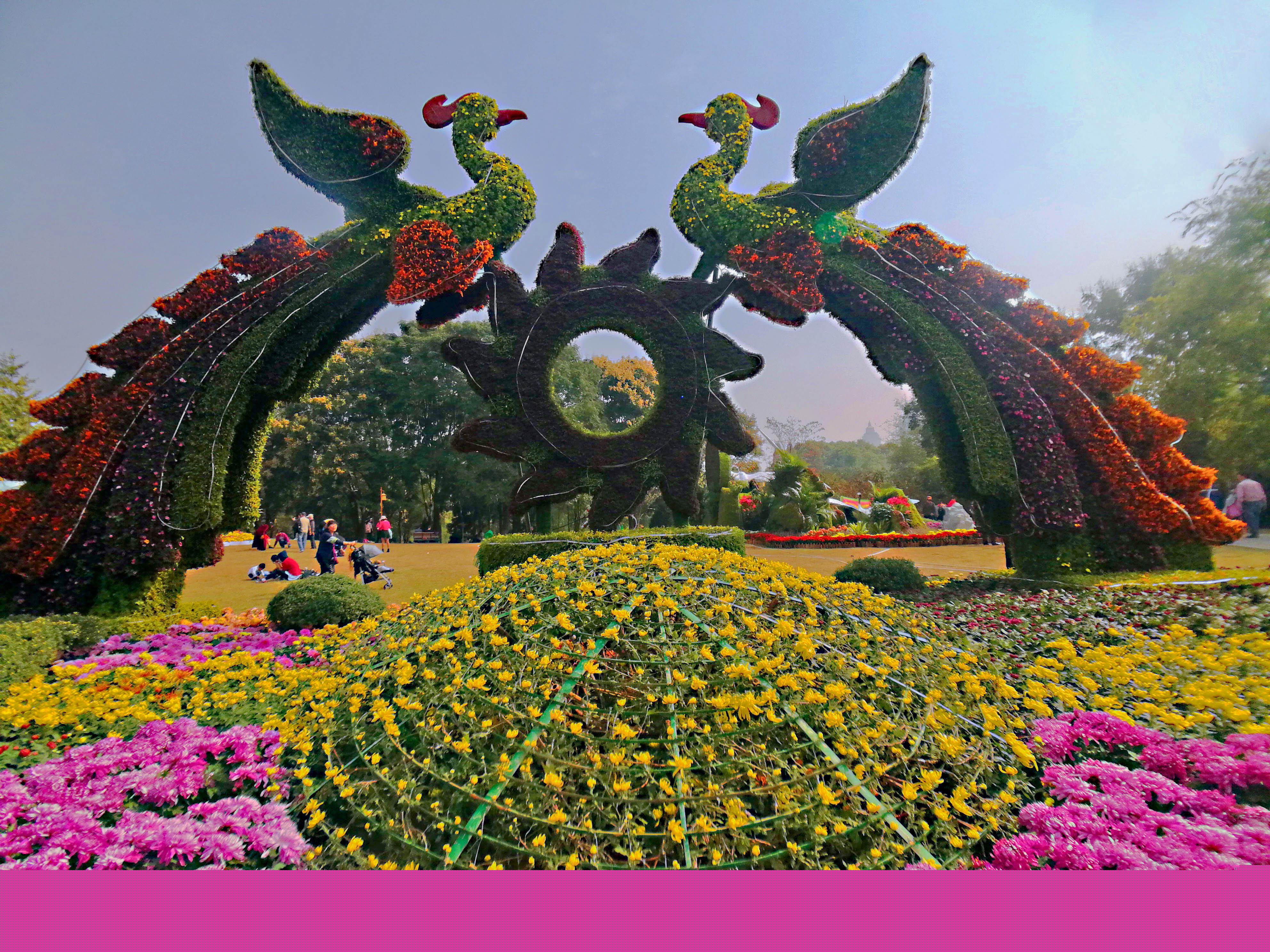 风华论坛：思想碰撞的舞台，行业变革的推手