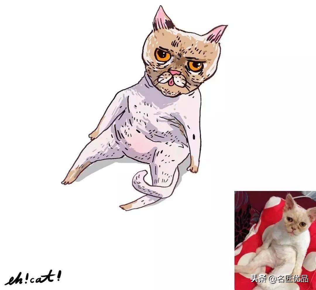 你家猫主子的表情包真的开心吗？