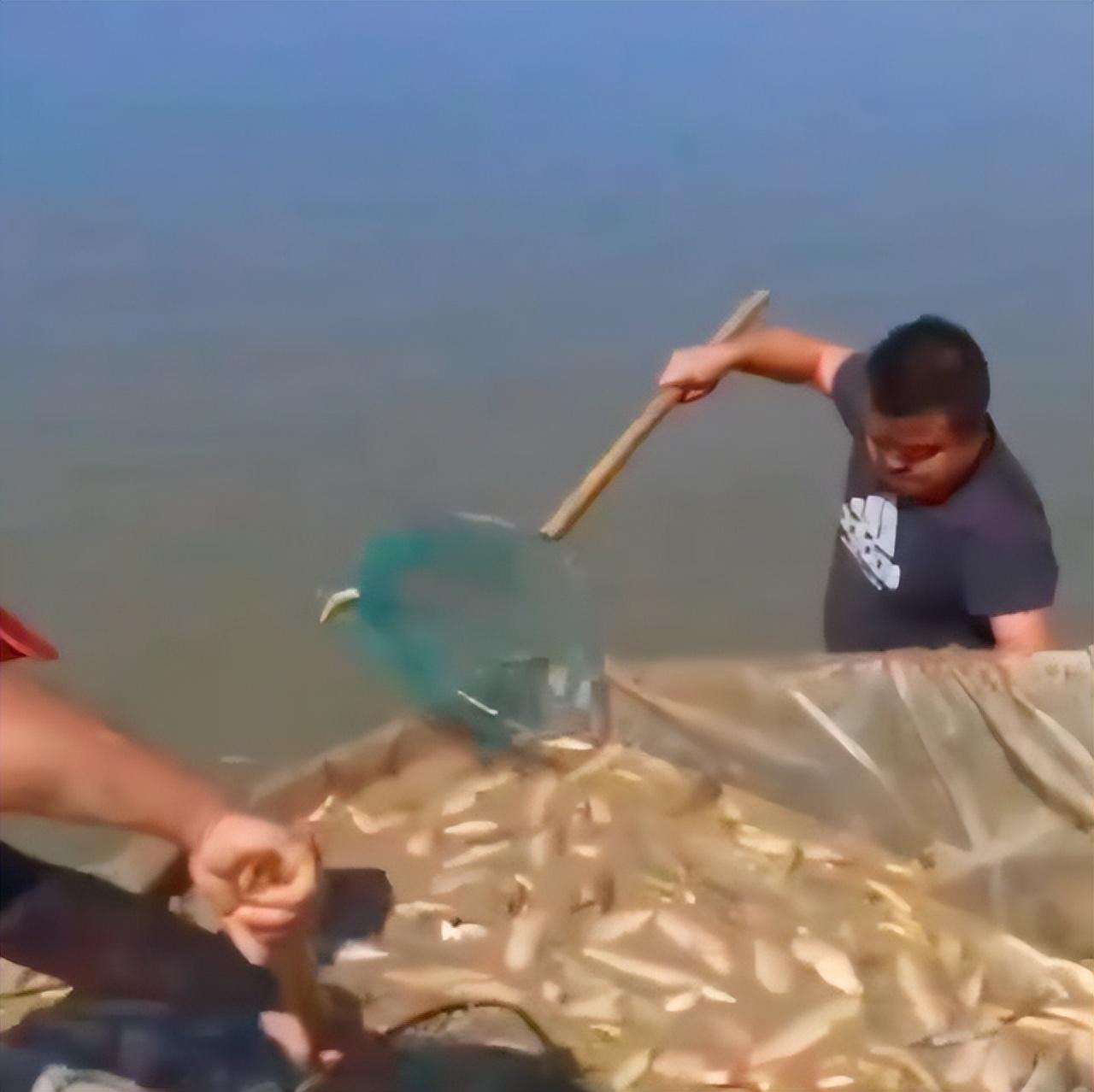 已婚女性梦见别人捞大鱼预示什么？2025年3类人转运指南