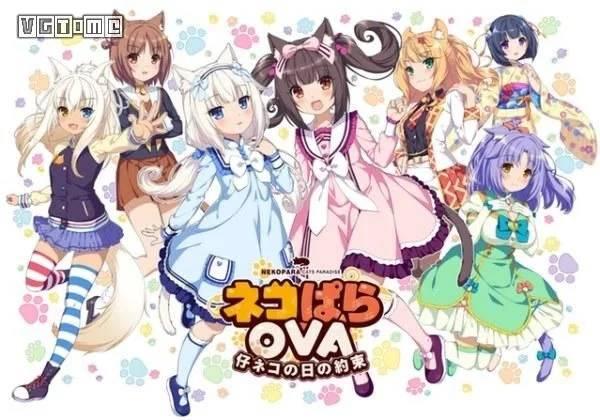 为什么你的猫咪视频总被字幕毁掉？