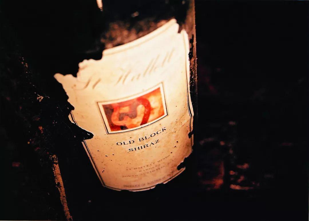 为什么你家沙发三天两头就变成猫抓板？