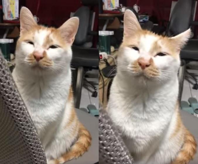 安娜凯瑟琳这游戏到底怎么玩才能不摔手柄? 安娜凯瑟琳这游戏到底怎么玩才能不摔手柄?