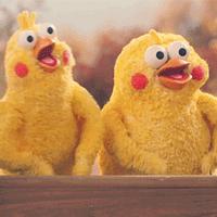 为什么你家猫主子总爱黏着你？