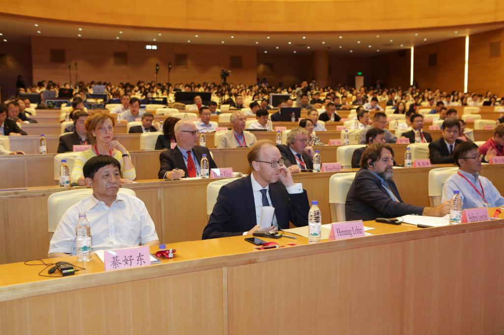 新西兰华人论坛吧到底藏着多少宝藏？