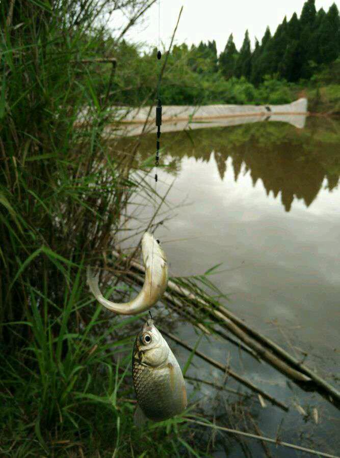 为什么同年同月生的人命运不同？