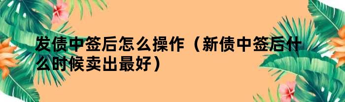 新债中签后到底几时卖能赚钱？老司机总结的最佳卖出时间攻略！
