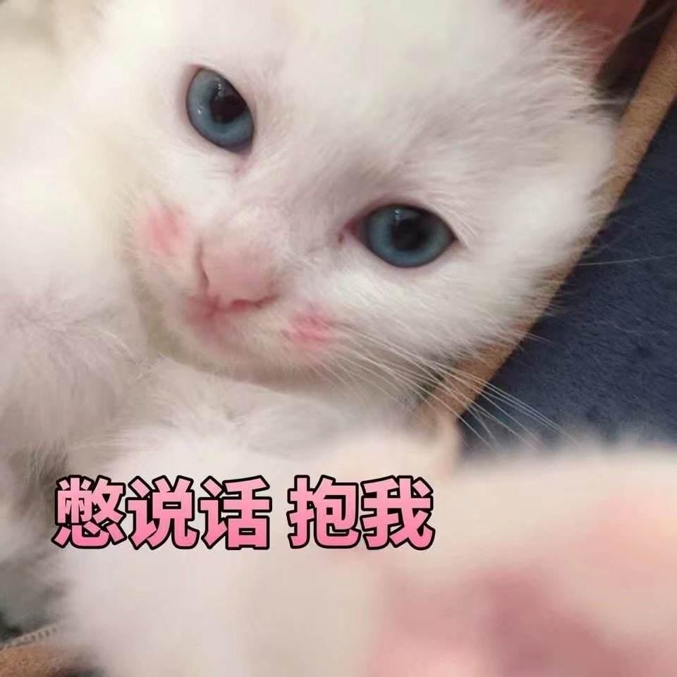 手机上养猫真的能解压吗？
