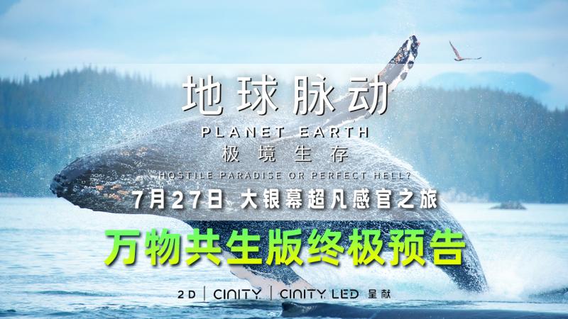 地球脉动极境生存电影_BBC地球脉动纪录片_地球脉动是怎么拍摄的？