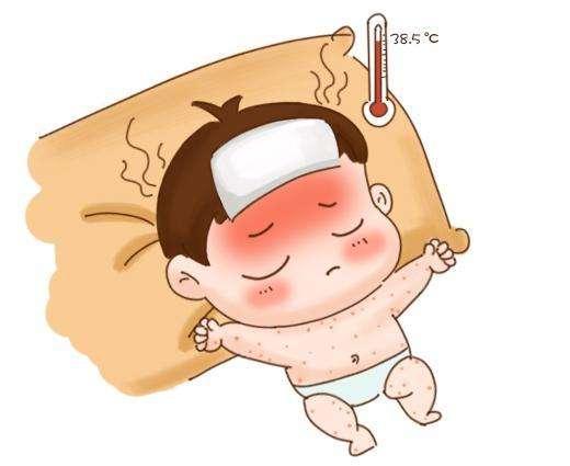 你家猫主子最近总打喷嚏？别慌！