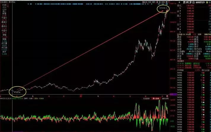 新手炒股从零开始教程，手把手教学，小白也能快速上手！
