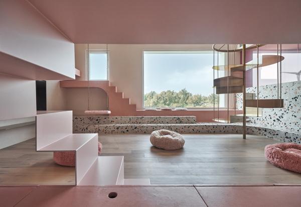 猫咪三天不吃饭却满屋跑正常吗？