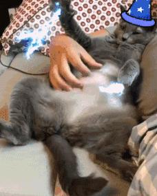 吉普自由光到底值不值得新手小白入手? 吉普自由光到底值不值得新手小白入手?