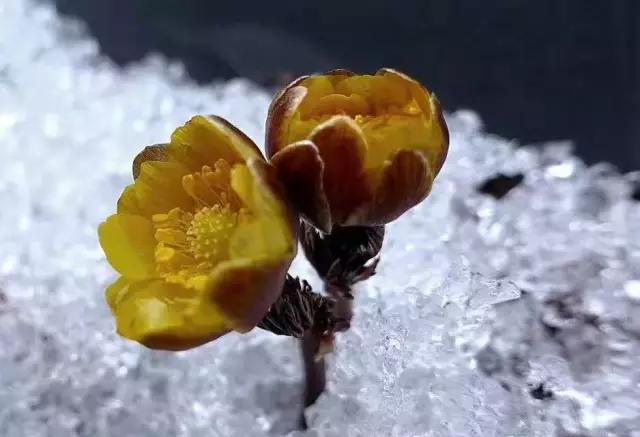 梦见一个老爷爷跟我说话预示什么？深度解析与化解指南