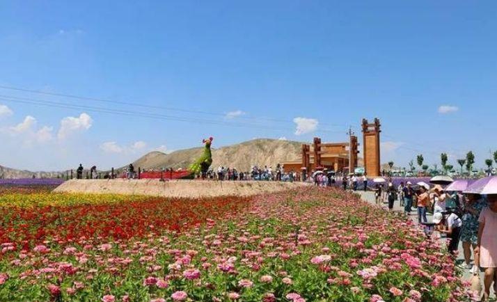 梦见开车真的预示要升职加薪吗？