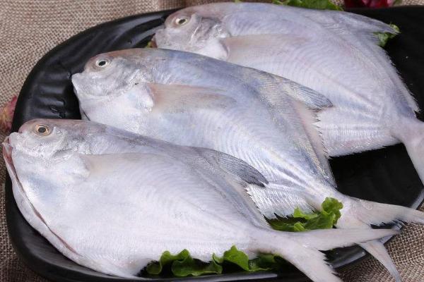 华人论坛丫丫手机版到底怎么下载才靠谱？