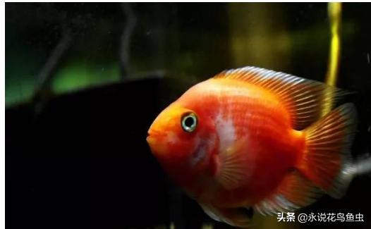 我觉得一些年轻律师作为律师所合伙人并不适宜