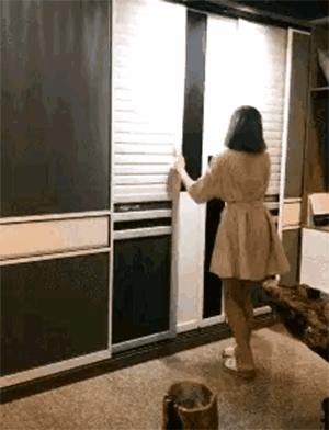 孩子跳小猫咪总像木头人?手把手教你考级通关秘籍! 孩子跳小猫咪总像木头人?手把手教你考级通关秘籍!