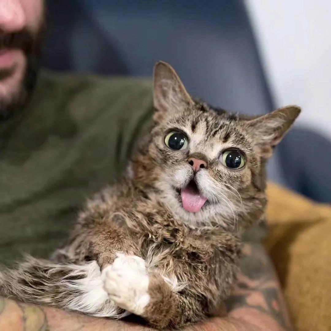 Oppo软件商店v.7.13：全新界面设计，优化升级体验