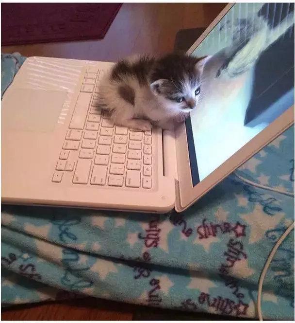 电脑算命真的能预测未来吗？