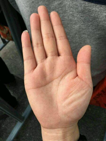 软件测试工程师职责揭秘：从测试计划到具体工作内容