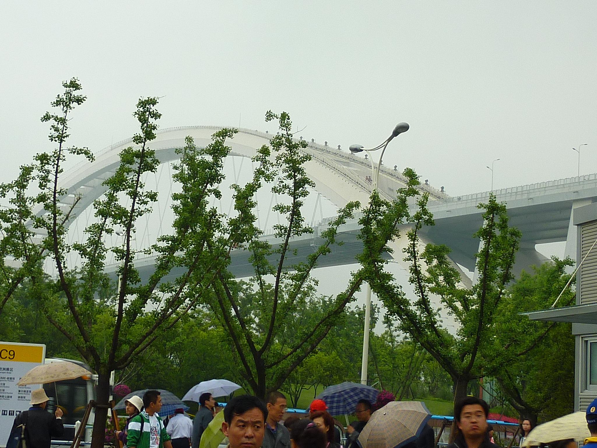 公棚比赛：谁在赢钱？