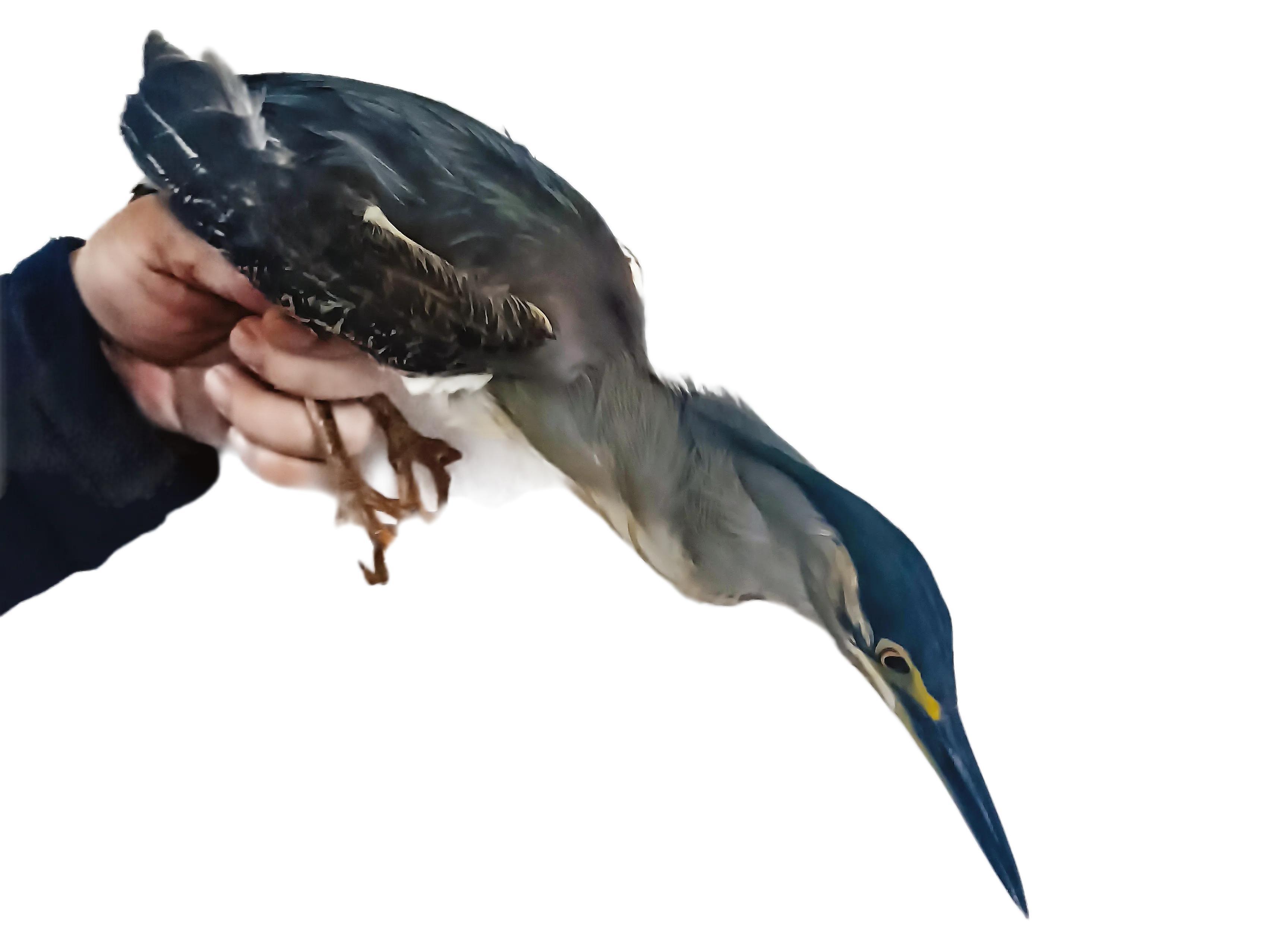 导航去陌生地方总迷路怎么办？