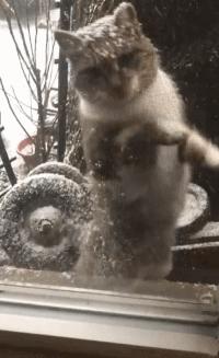 熊猫车友会真的能帮汽车小白少踩坑吗？