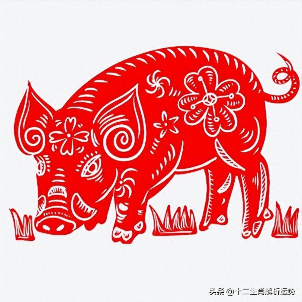 属猪人2024年真的能咸鱼翻身吗? 属猪人2024年真的能咸鱼翻身吗?