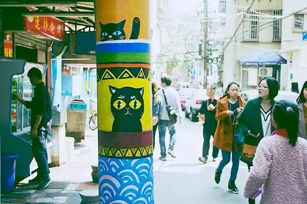 猫咪短视频为啥总被成年人刷爆？