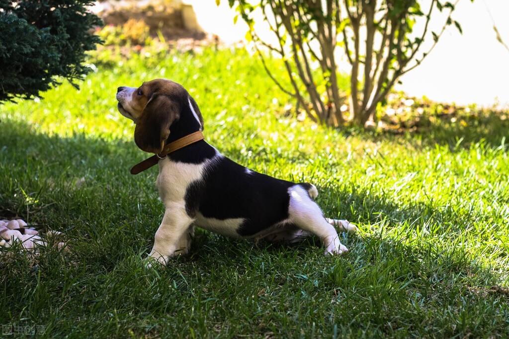 海马7真的是新手避坑神器吗？